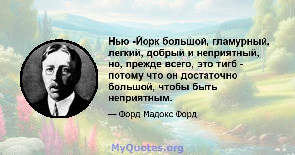 Нью -Йорк большой, гламурный, легкий, добрый и неприятный, но, прежде всего, это тигб - потому что он достаточно большой, чтобы быть неприятным.