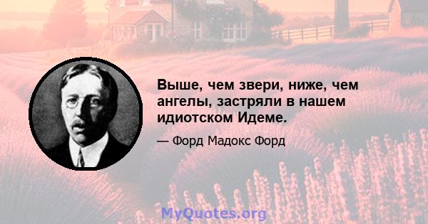 Выше, чем звери, ниже, чем ангелы, застряли в нашем идиотском Идеме.