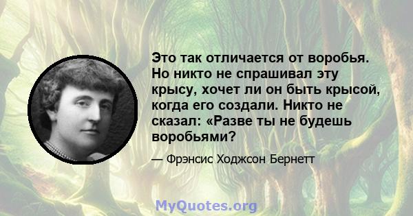 Это так отличается от воробья. Но никто не спрашивал эту крысу, хочет ли он быть крысой, когда его создали. Никто не сказал: «Разве ты не будешь воробьями?