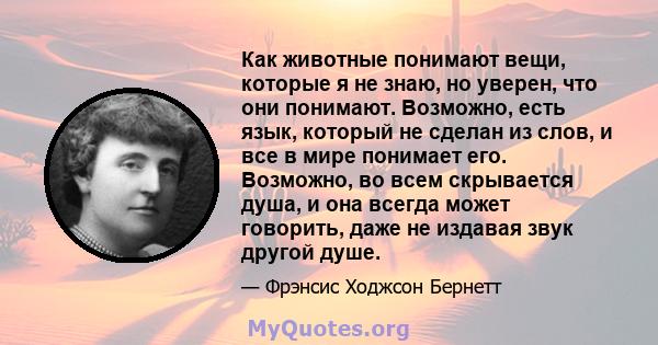 Как животные понимают вещи, которые я не знаю, но уверен, что они понимают. Возможно, есть язык, который не сделан из слов, и все в мире понимает его. Возможно, во всем скрывается душа, и она всегда может говорить, даже 