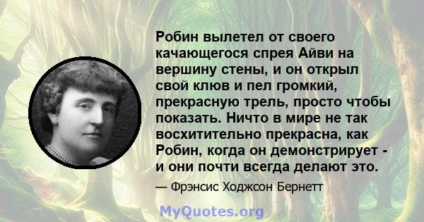 Робин вылетел от своего качающегося спрея Айви на вершину стены, и он открыл свой клюв и пел громкий, прекрасную трель, просто чтобы показать. Ничто в мире не так восхитительно прекрасна, как Робин, когда он