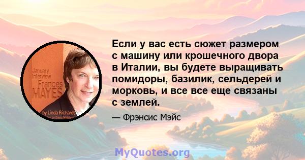 Если у вас есть сюжет размером с машину или крошечного двора в Италии, вы будете выращивать помидоры, базилик, сельдерей и морковь, и все все еще связаны с землей.