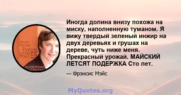 Иногда долина внизу похожа на миску, наполненную туманом. Я вижу твердый зеленый инжир на двух деревьях и грушах на дереве, чуть ниже меня. Прекрасный урожай. МАЙСКИЙ ЛЕТСЯТ ПОДЕРЖКА Сто лет.