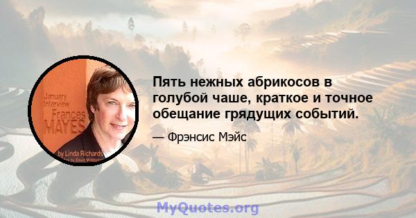 Пять нежных абрикосов в голубой чаше, краткое и точное обещание грядущих событий.