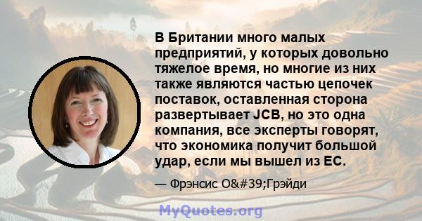 В Британии много малых предприятий, у которых довольно тяжелое время, но многие из них также являются частью цепочек поставок, оставленная сторона развертывает JCB, но это одна компания, все эксперты говорят, что