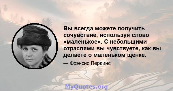 Вы всегда можете получить сочувствие, используя слово «маленькое». С небольшими отраслями вы чувствуете, как вы делаете о маленьком щенке.