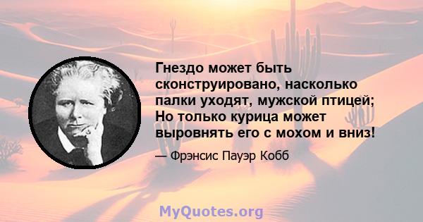 Гнездо может быть сконструировано, насколько палки уходят, мужской птицей; Но только курица может выровнять его с мохом и вниз!