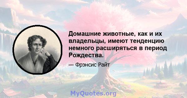 Домашние животные, как и их владельцы, имеют тенденцию немного расширяться в период Рождества.