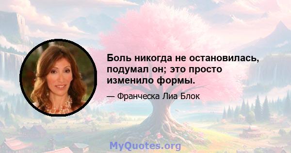 Боль никогда не остановилась, подумал он; это просто изменило формы.