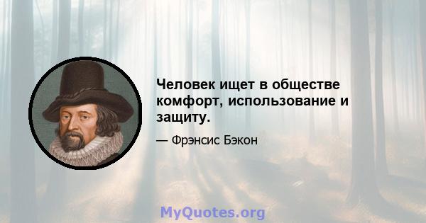 Человек ищет в обществе комфорт, использование и защиту.