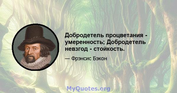 Добродетель процветания - умеренность; Добродетель невзгод - стойкость.