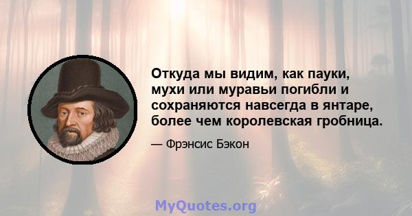 Откуда мы видим, как пауки, мухи или муравьи погибли и сохраняются навсегда в янтаре, более чем королевская гробница.