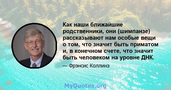 Как наши ближайшие родственники, они (шимпанзе) рассказывают нам особые вещи о том, что значит быть приматом и, в конечном счете, что значит быть человеком на уровне ДНК.