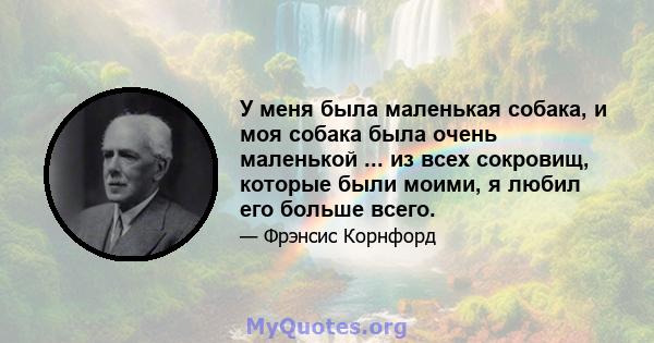 У меня была маленькая собака, и моя собака была очень маленькой ... из всех сокровищ, которые были моими, я любил его больше всего.