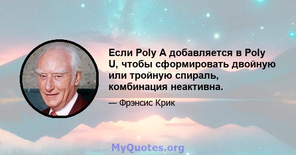 Если Poly A добавляется в Poly U, чтобы сформировать двойную или тройную спираль, комбинация неактивна.