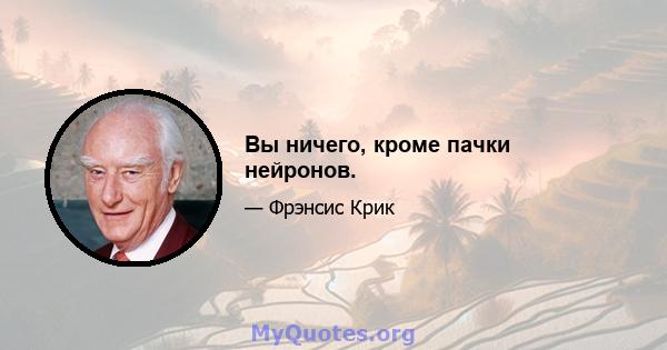 Вы ничего, кроме пачки нейронов.