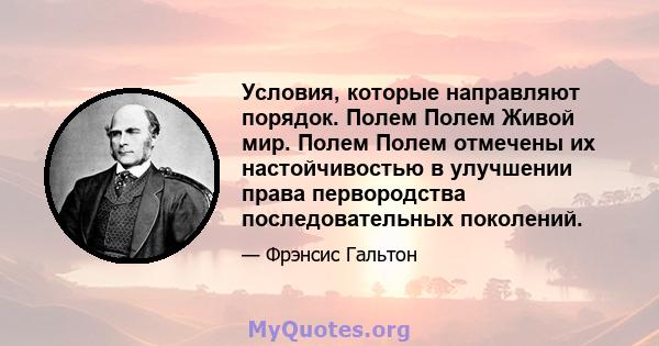 Условия, которые направляют порядок. Полем Полем Живой мир. Полем Полем отмечены их настойчивостью в улучшении права первородства последовательных поколений.