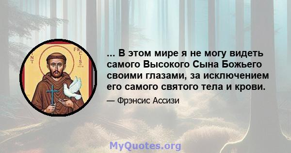 ... В этом мире я не могу видеть самого Высокого Сына Божьего своими глазами, за исключением его самого святого тела и крови.