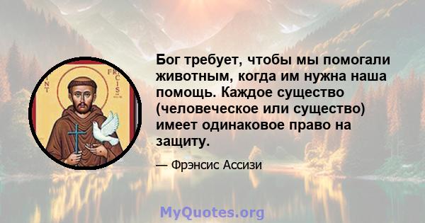 Бог требует, чтобы мы помогали животным, когда им нужна наша помощь. Каждое существо (человеческое или существо) имеет одинаковое право на защиту.