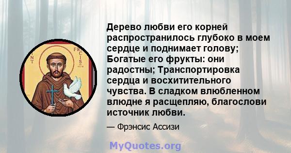 Дерево любви его корней распространилось глубоко в моем сердце и поднимает голову; Богатые его фрукты: они радостны; Транспортировка сердца и восхитительного чувства. В сладком влюбленном влюдне я расщепляю, благослови