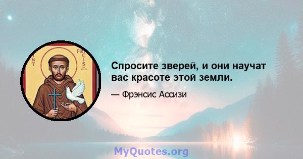 Спросите зверей, и они научат вас красоте этой земли.