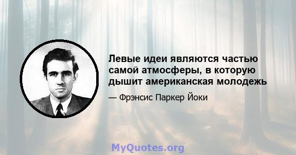 Левые идеи являются частью самой атмосферы, в которую дышит американская молодежь