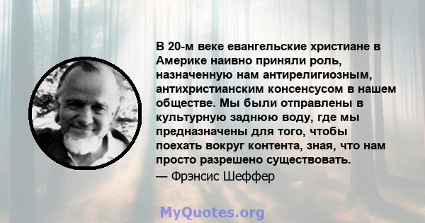 В 20-м веке евангельские христиане в Америке наивно приняли роль, назначенную нам антирелигиозным, антихристианским консенсусом в нашем обществе. Мы были отправлены в культурную заднюю воду, где мы предназначены для