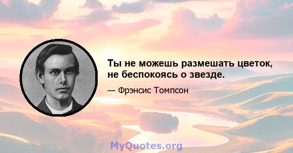 Ты не можешь размешать цветок, не беспокоясь о звезде.