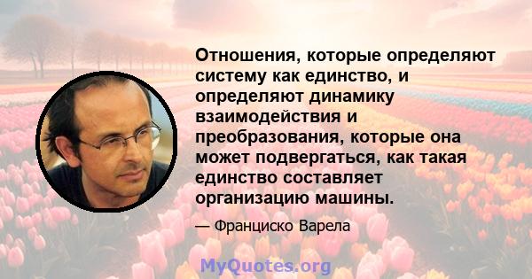 Отношения, которые определяют систему как единство, и определяют динамику взаимодействия и преобразования, которые она может подвергаться, как такая единство составляет организацию машины.