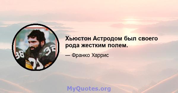 Хьюстон Астродом был своего рода жестким полем.