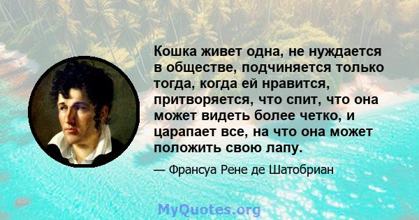 Кошка живет одна, не нуждается в обществе, подчиняется только тогда, когда ей нравится, притворяется, что спит, что она может видеть более четко, и царапает все, на что она может положить свою лапу.