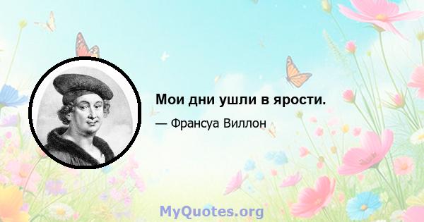 Мои дни ушли в ярости.