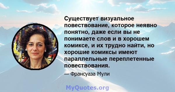 Существует визуальное повествование, которое неявно понятно, даже если вы не понимаете слов и в хорошем комиксе, и их трудно найти, но хорошие комиксы имеют параллельные переплетенные повествования.