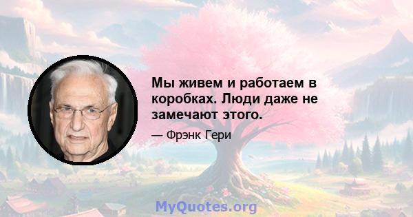 Мы живем и работаем в коробках. Люди даже не замечают этого.