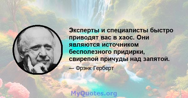 Эксперты и специалисты быстро приводят вас в хаос. Они являются источником бесполезного придирки, свирепой причуды над запятой.