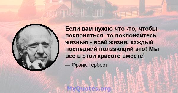 Если вам нужно что -то, чтобы поклоняться, то поклоняйтесь жизнью - всей жизни, каждый последний ползающий это! Мы все в этой красоте вместе!