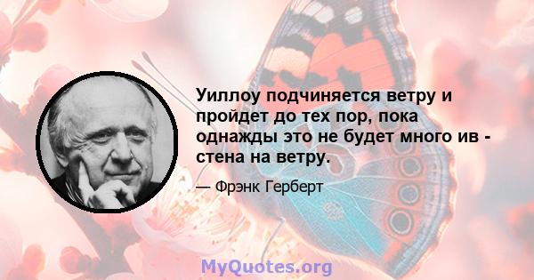 Уиллоу подчиняется ветру и пройдет до тех пор, пока однажды это не будет много ив - стена на ветру.