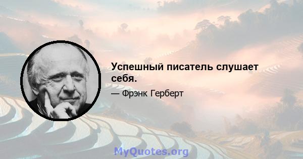 Успешный писатель слушает себя.