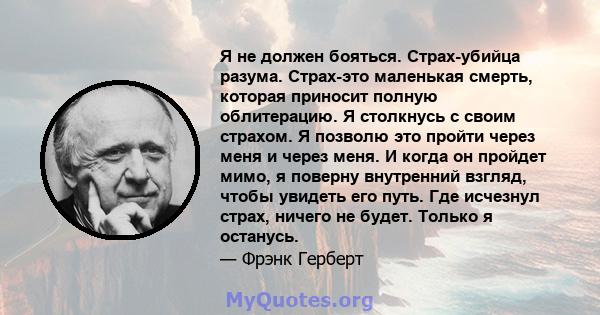 Я не должен бояться. Страх-убийца разума. Страх-это маленькая смерть, которая приносит полную облитерацию. Я столкнусь с своим страхом. Я позволю это пройти через меня и через меня. И когда он пройдет мимо, я поверну