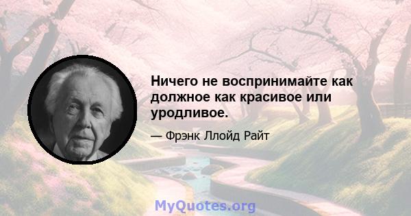 Ничего не воспринимайте как должное как красивое или уродливое.