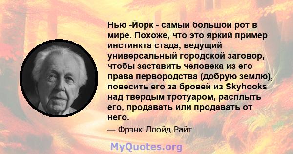 Нью -Йорк - самый большой рот в мире. Похоже, что это яркий пример инстинкта стада, ведущий универсальный городской заговор, чтобы заставить человека из его права первородства (добрую землю), повесить его за бровей из