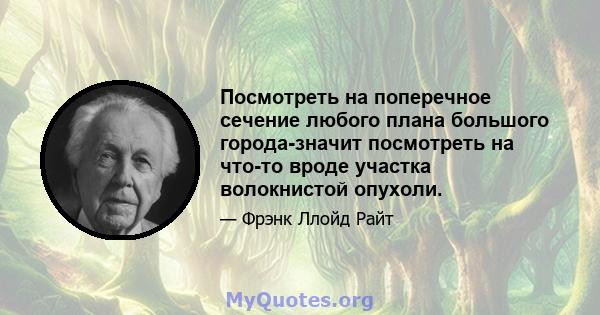 Посмотреть на поперечное сечение любого плана большого города-значит посмотреть на что-то вроде участка волокнистой опухоли.