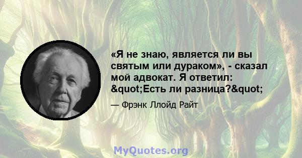 «Я не знаю, является ли вы святым или дураком», - сказал мой адвокат. Я ответил: "Есть ли разница?"