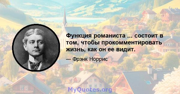 Функция романиста ... состоит в том, чтобы прокомментировать жизнь, как он ее видит.