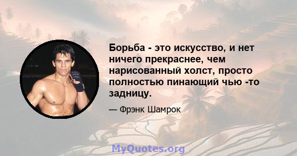 Борьба - это искусство, и нет ничего прекраснее, чем нарисованный холст, просто полностью пинающий чью -то задницу.