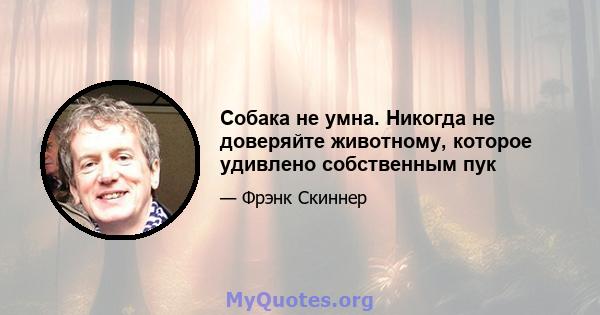 Собака не умна. Никогда не доверяйте животному, которое удивлено собственным пук