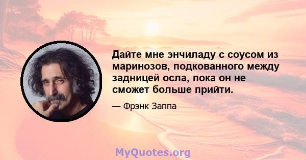 Дайте мне энчиладу с соусом из маринозов, подкованного между задницей осла, пока он не сможет больше прийти.