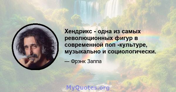 Хендрикс - одна из самых революционных фигур в современной поп -культуре, музыкально и социологически.