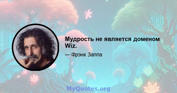 Мудрость не является доменом Wiz.