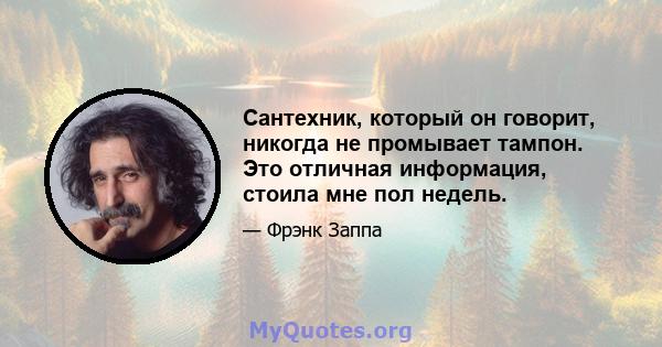 Сантехник, который он говорит, никогда не промывает тампон. Это отличная информация, стоила мне пол недель.